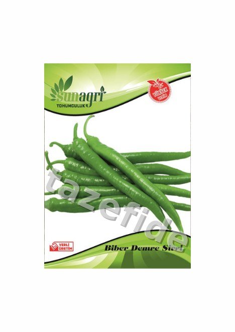 Beith Alpha Salatalık Tohumu 5 gr ek görsel