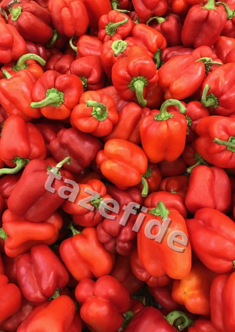 Aşağı Bakan Süs Biberi 5 gr
