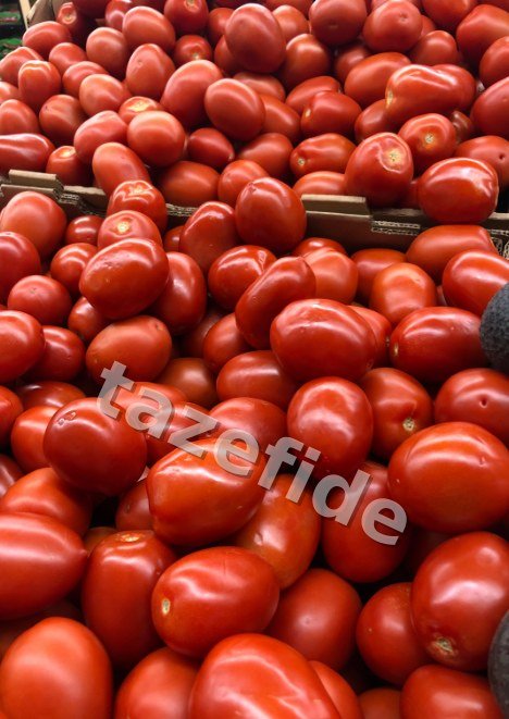 Aydın Siyahı Patlıcan Tohumu 5 gr