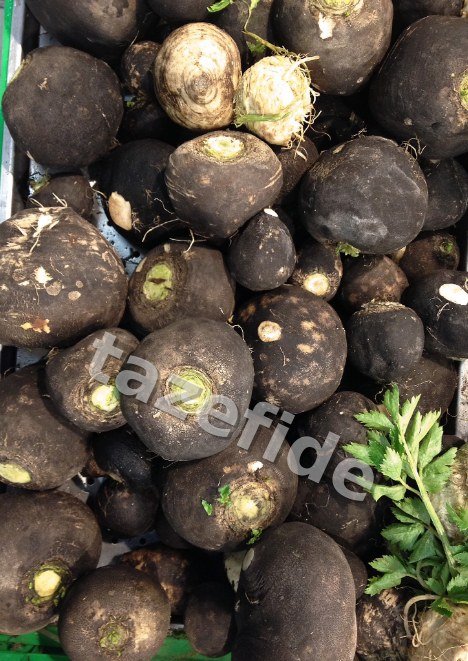 Fındık Turp Tohumu 5 gr