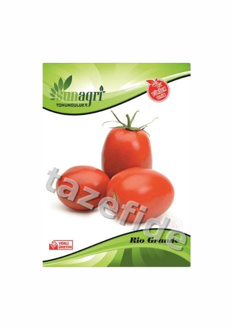 Aydın Siyahı Patlıcan Tohumu 5 gr ek görsel