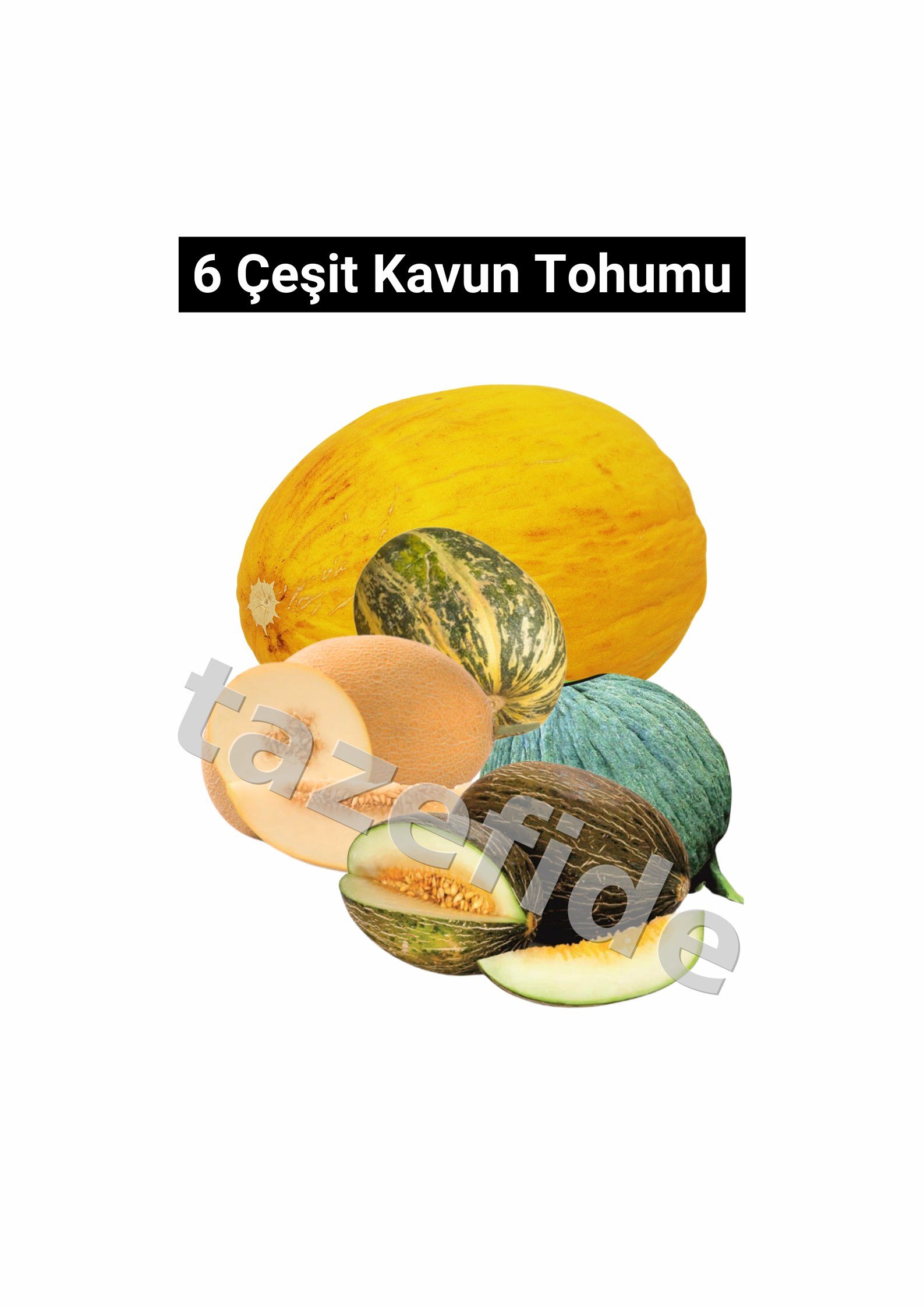 Albion Çilek Fideleri (500 adet fide)