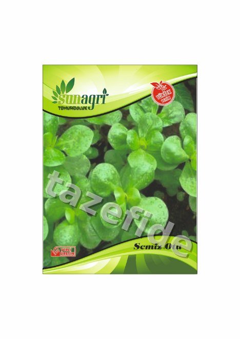 Maydanoz Tohumu 10 gr ek görsel