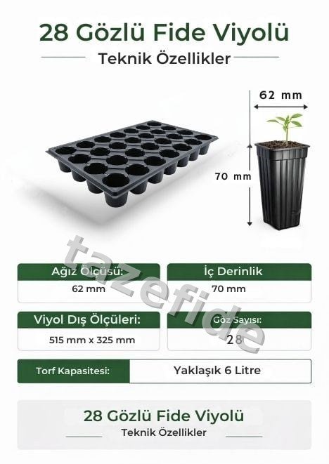 28 Göz Fide Viyolü – 10, 25, 50 ve 100 Adet ek görsel