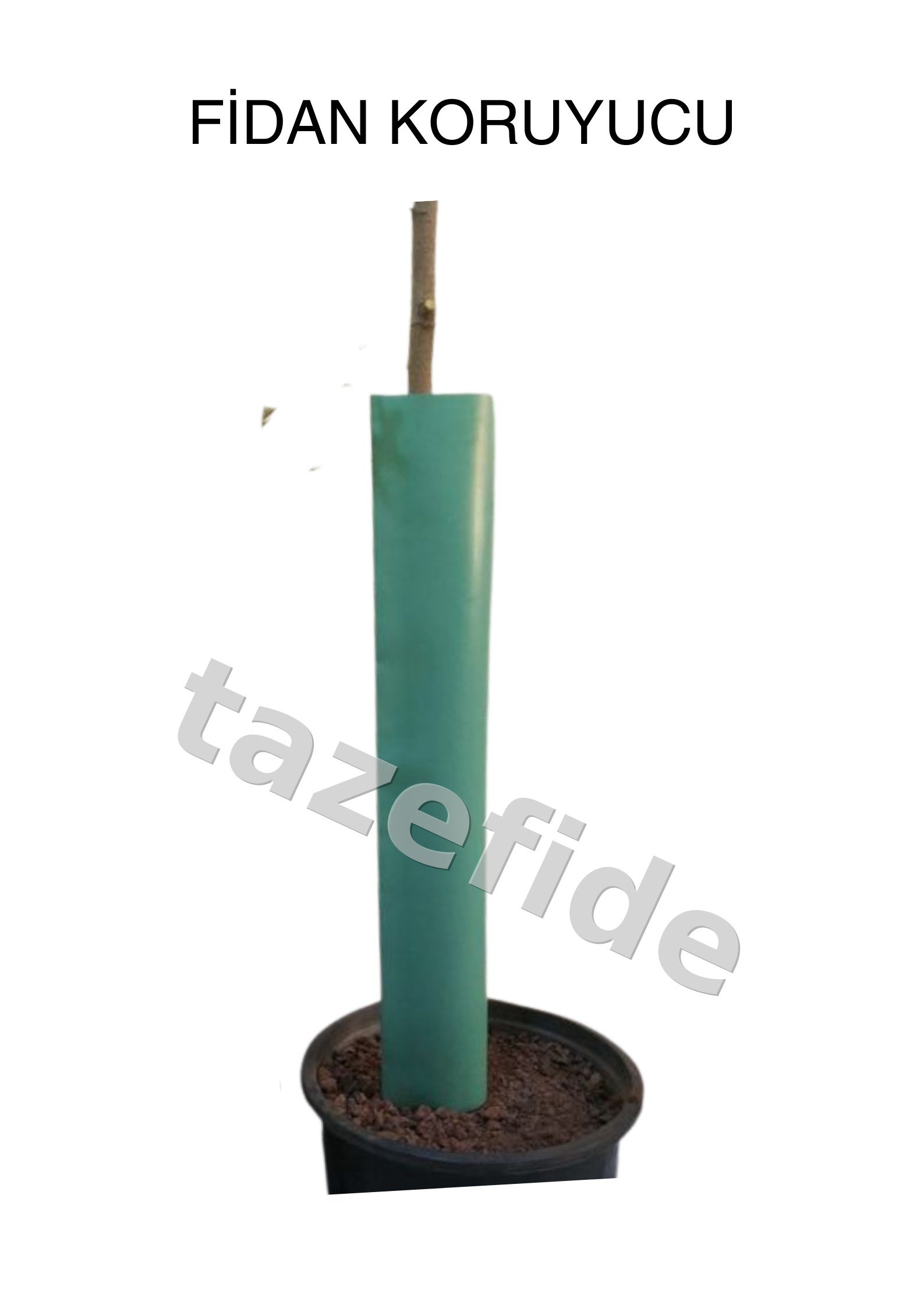 Sarı Kışlık Kavun Tohumu 5 gr ek görsel