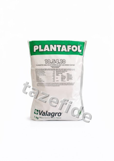 Bamya Sultani Çeşidi 10 gr