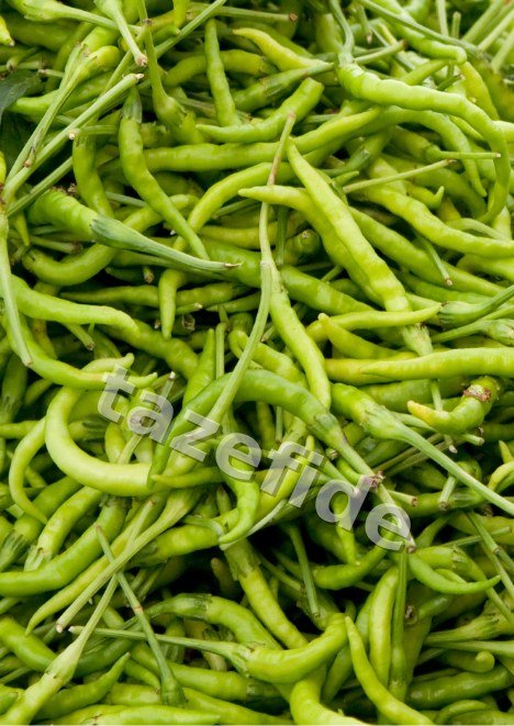 Kıl Acı Biber Tohumu 5 gr