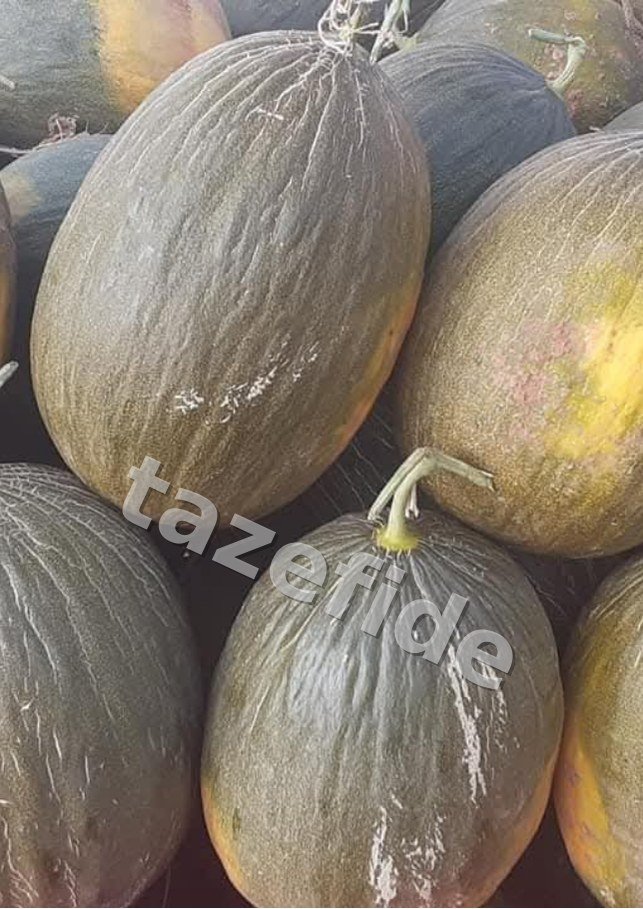 Asena Fasulye Tohumu 25 gr