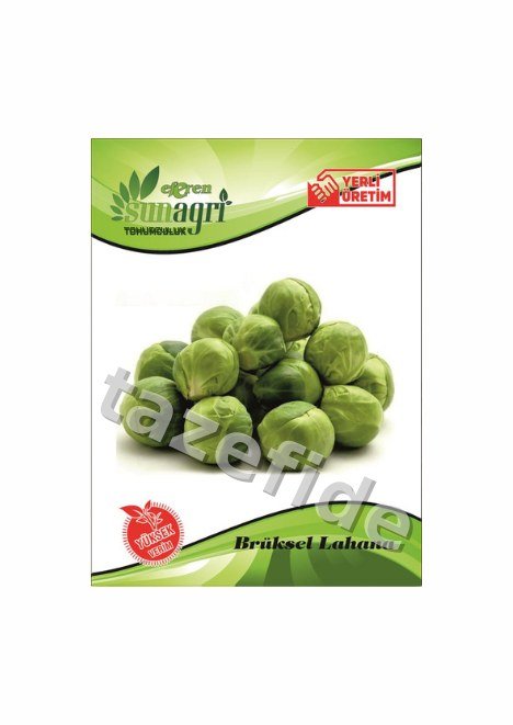 Şeker Pancarı Tohumu 10 g ek görsel