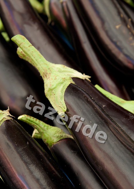 Yalova Çarliston Biber Tohumu 5 gr