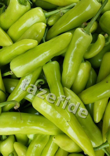 Kandil Dolma Biber Tohumu 5 gr